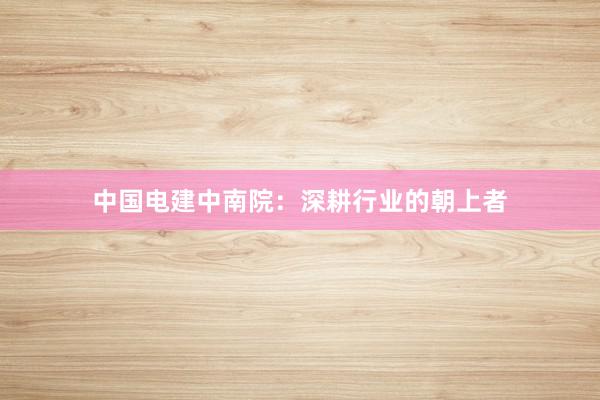 中国电建中南院：深耕行业的朝上者